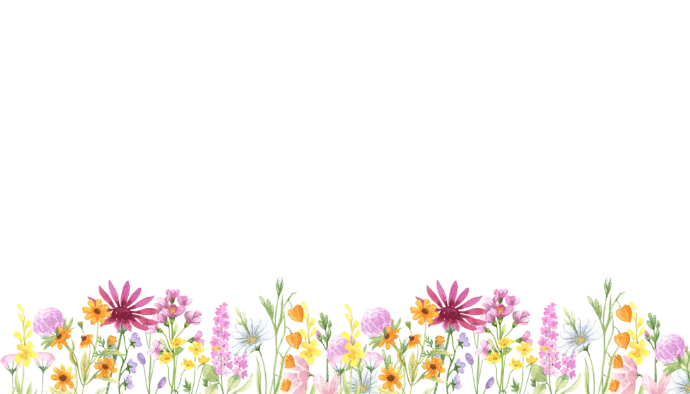 Wedding Place Cards Complete Guide: From Classic to Modern Designs