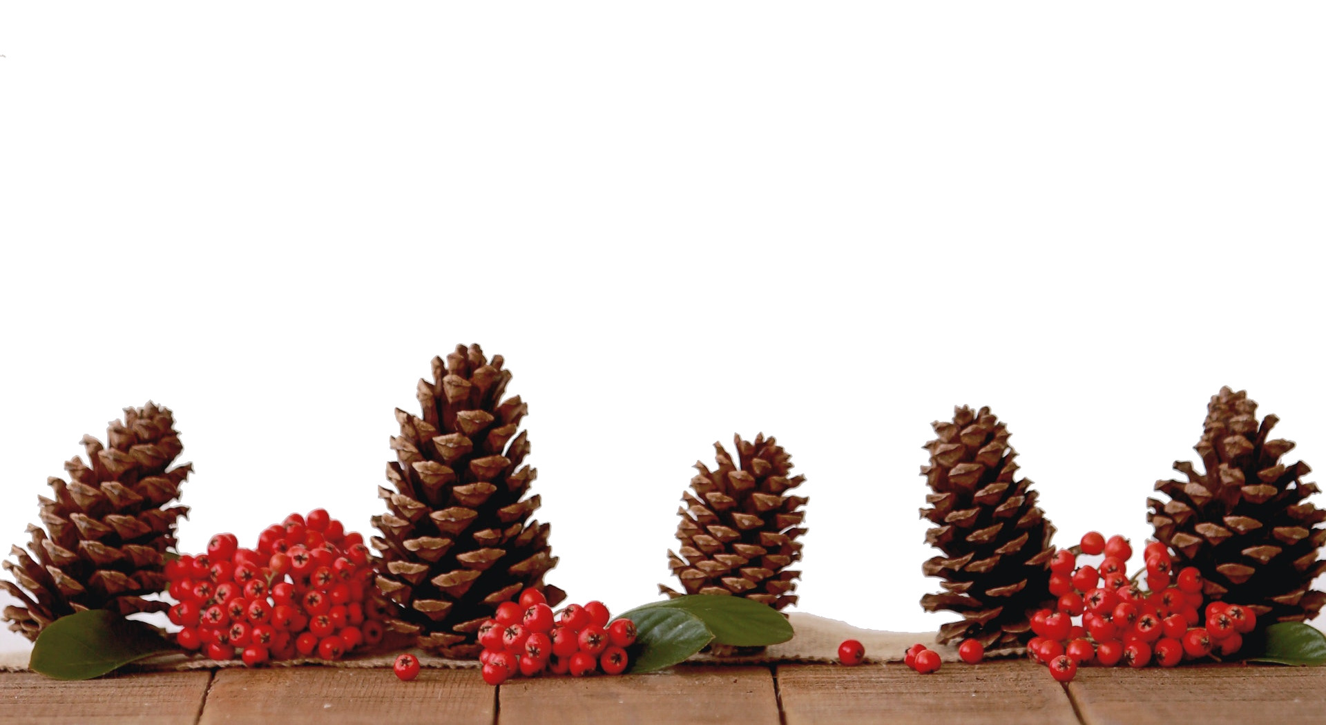 Woodland Charm Name Card Template